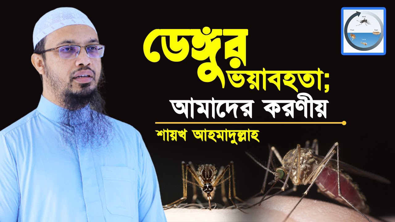 ডেঙ্গুর ভয়াবহতা; আমাদের করণীয়
