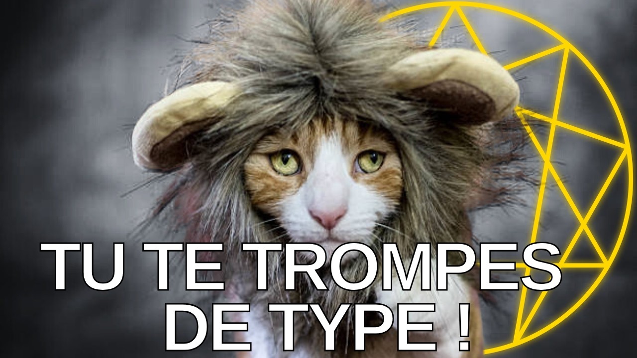 Contre-Type : le chaos de l'Enn&eacute;agramme