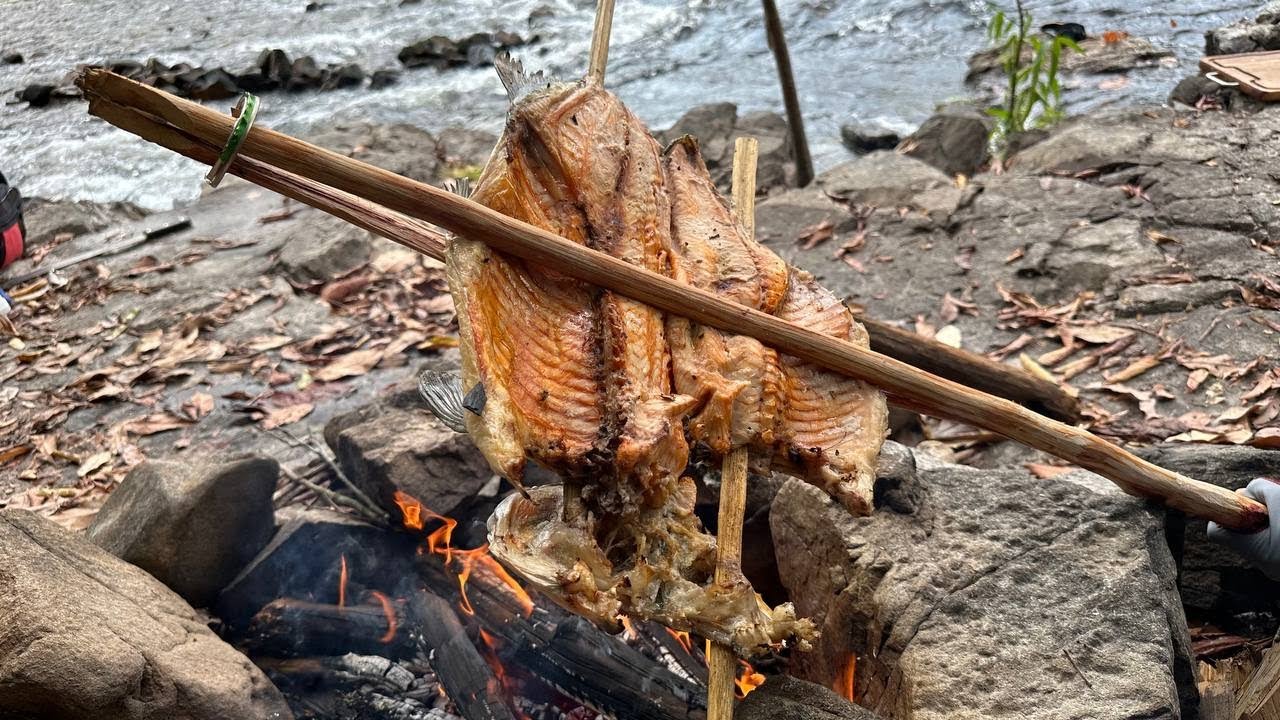 SERIA O MELHOR PEIXE PARA COMER NA BARRANCA DO RIO?