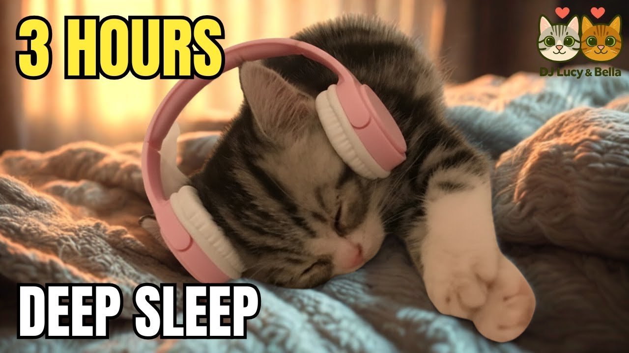 Healing Cat Purring & Water Sounds 💧 Relaxing Sleep Music | DJ Lucy & Bella