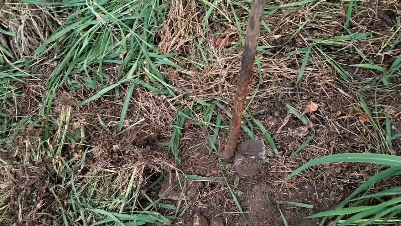 Vida de agricultor