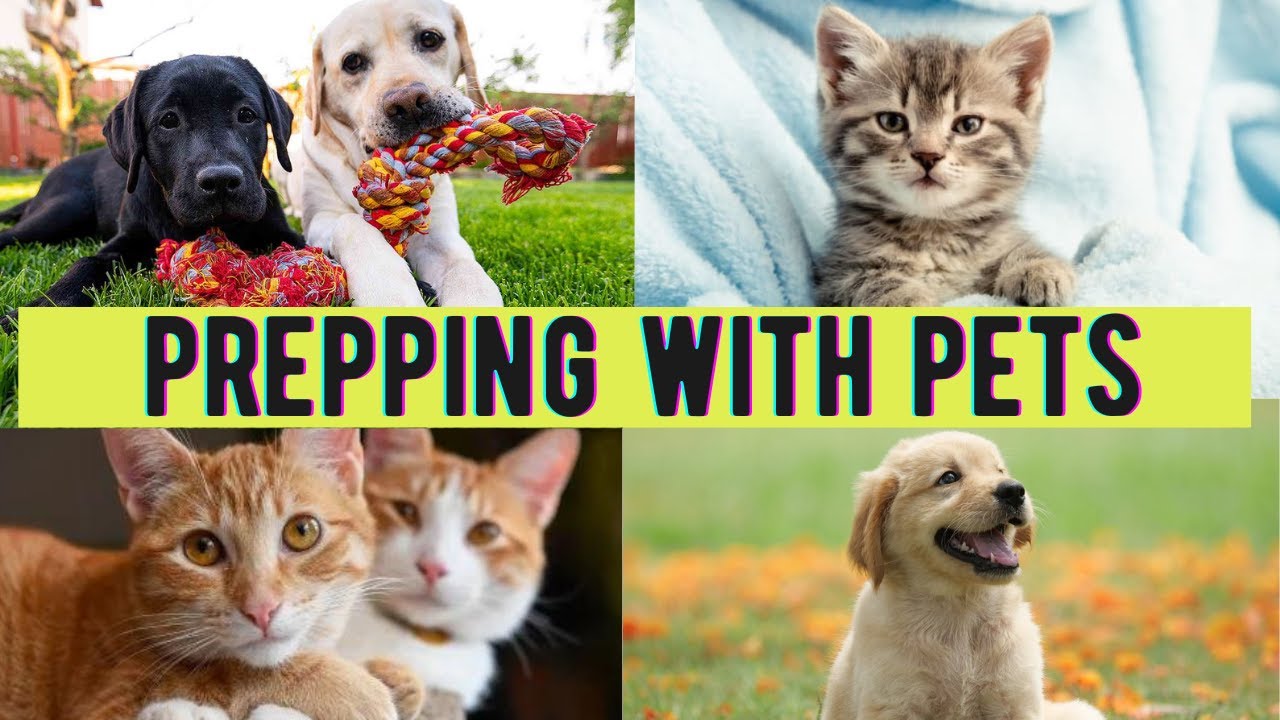 Prepping With Pets - Prepper Guide for Pet owners
