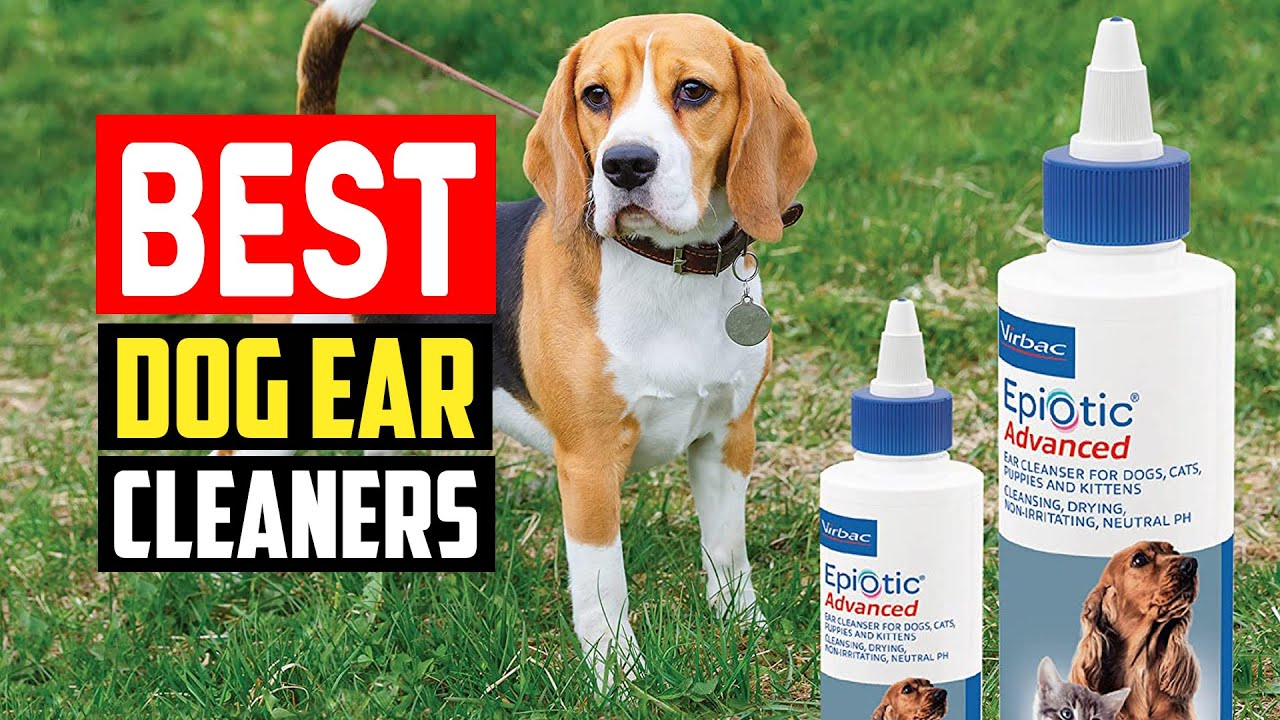 ✅ Top 5 Best Dog Ear Cleaning Solutions of 2025