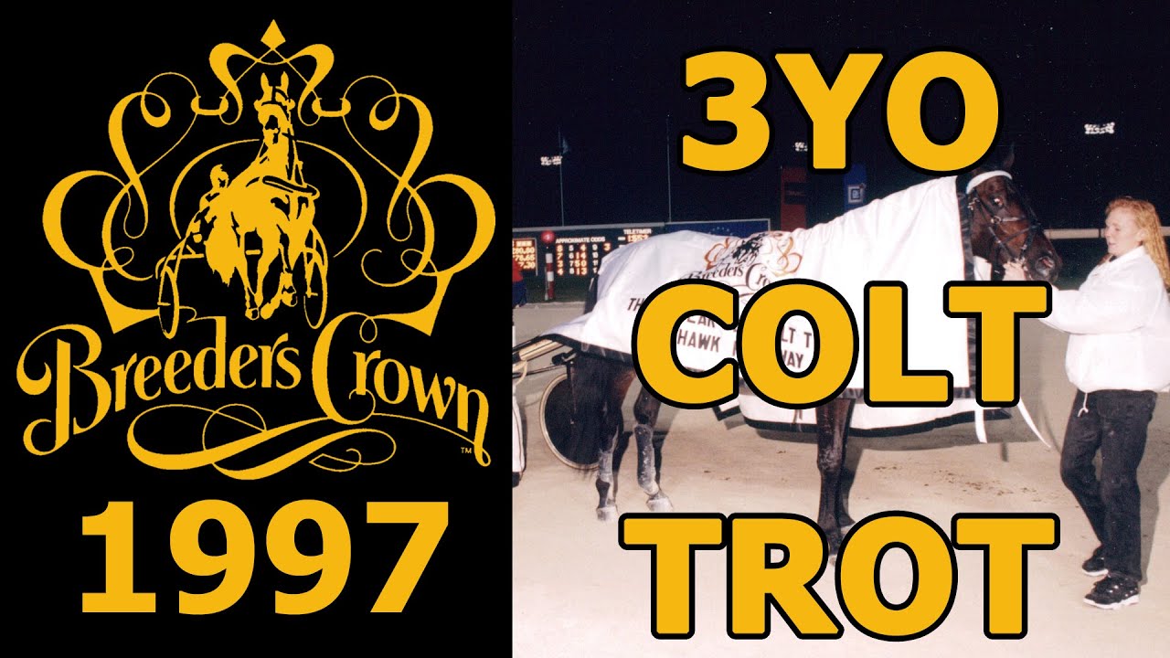 1997 Breeders Crown - Malabar Man - 3YO Colt Trot