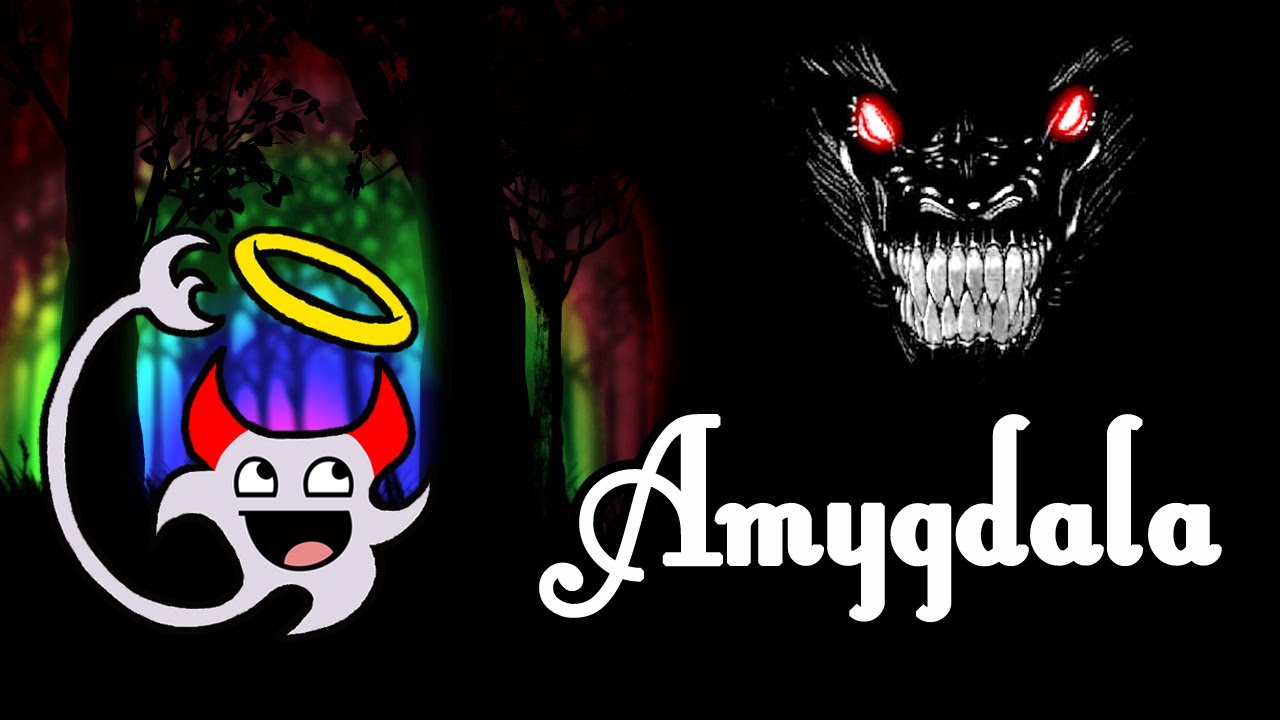 Amygdala | Moral Fiber