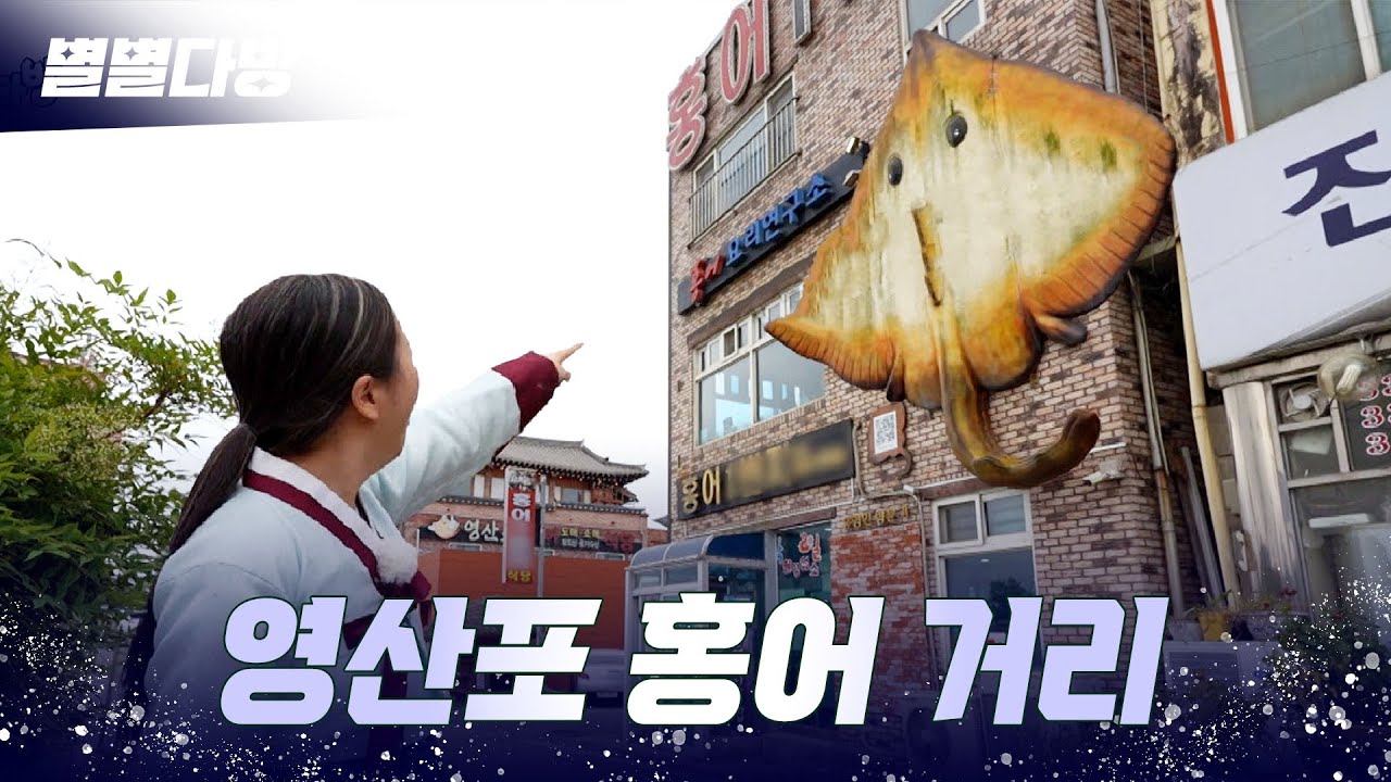 🌊영산포 홍어 거리🌊 별별다방｜240607
