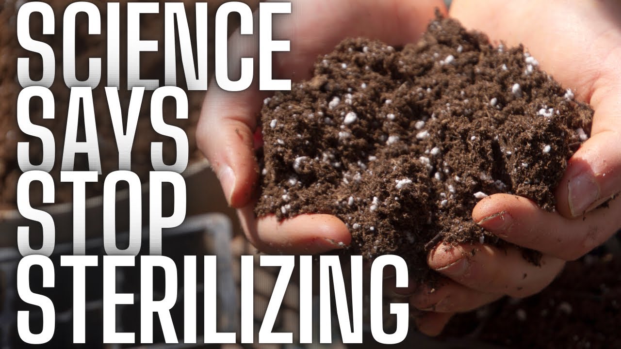 Sterilizing Potting Mix: When It Helps (and When It Hurts) Your Seedlings