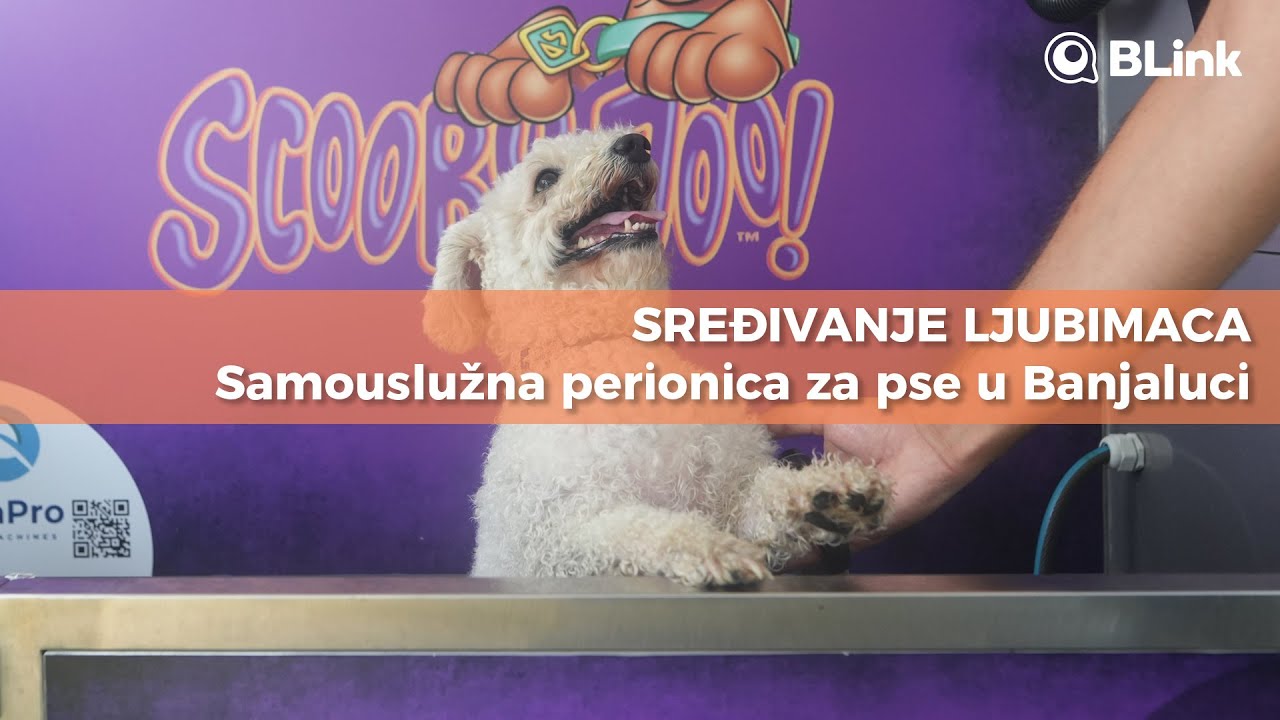 SREĐIVANJE LJUBIMACA Samouslužna perionica za pse u Banjaluci | Blink