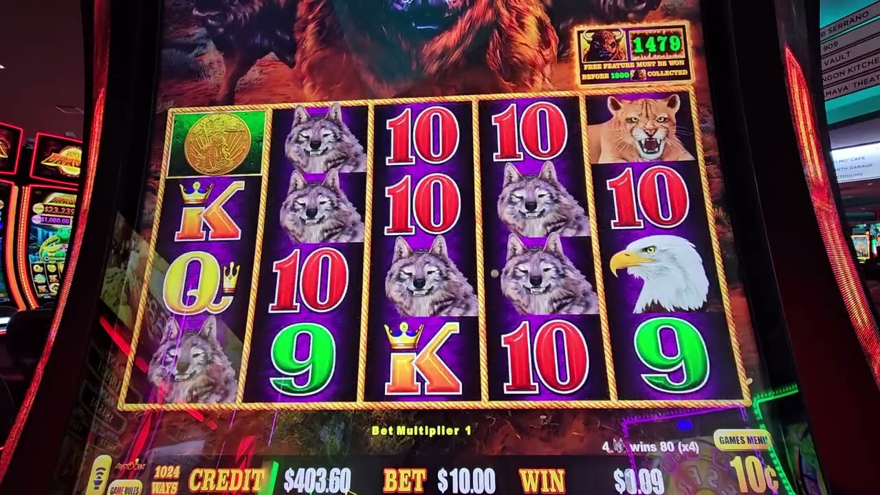 🐃 💰 Chasing the Win with an Unbelievable Comeback Ever and 102 FREE Games on Buffalo Link 🐃 💰