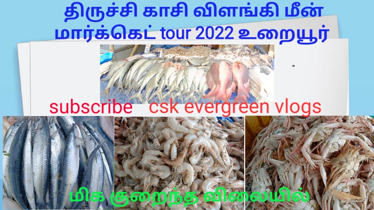 திருச்சி காசி விளங்கி மீன் மார்க்கெட் 2022| latest video of trichy fish market tour 2022