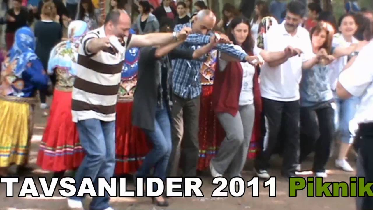 PİKNİK 2011 02