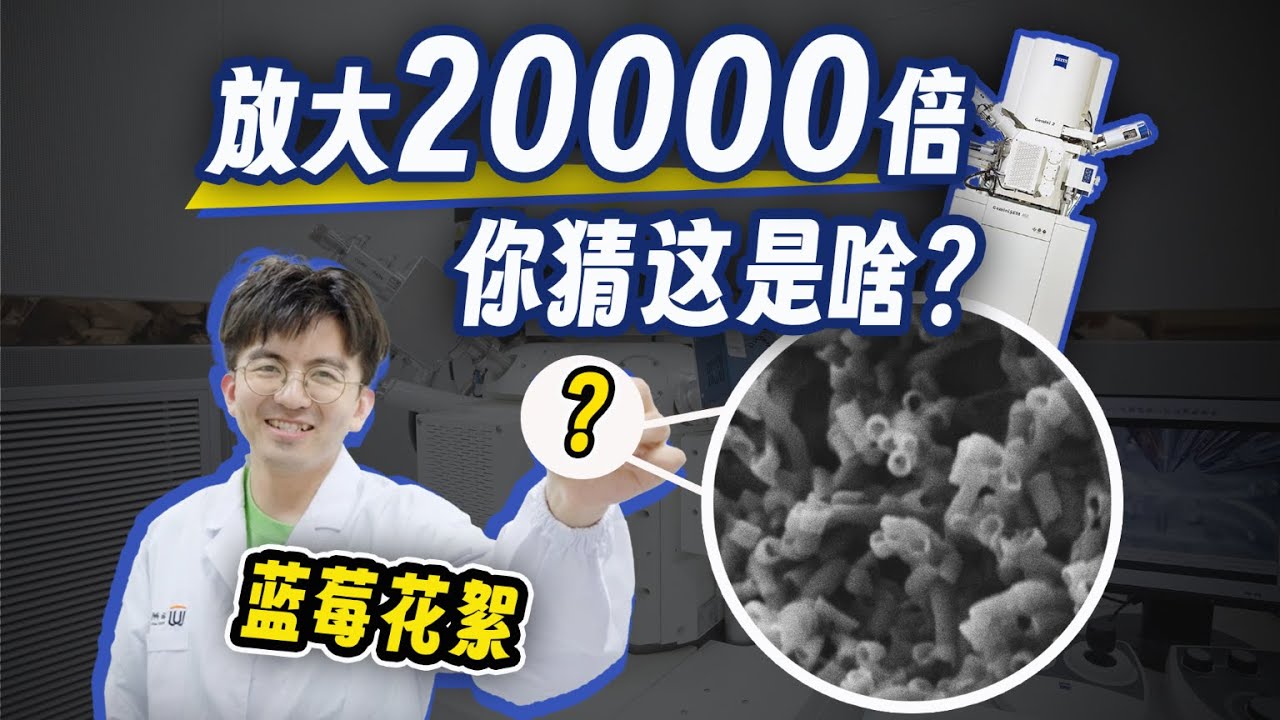 【毕导】或许是史上最枯燥的vlog——看电镜！#电镜 #科学 #科普
