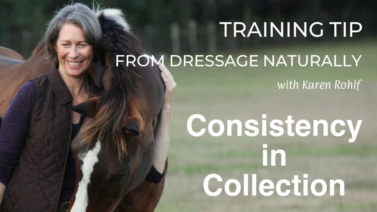 Quick Tip from the Dressage Naturally Video Classroom