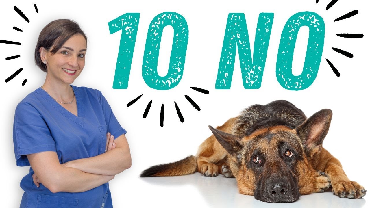 10 motivi per non prendere un cane!