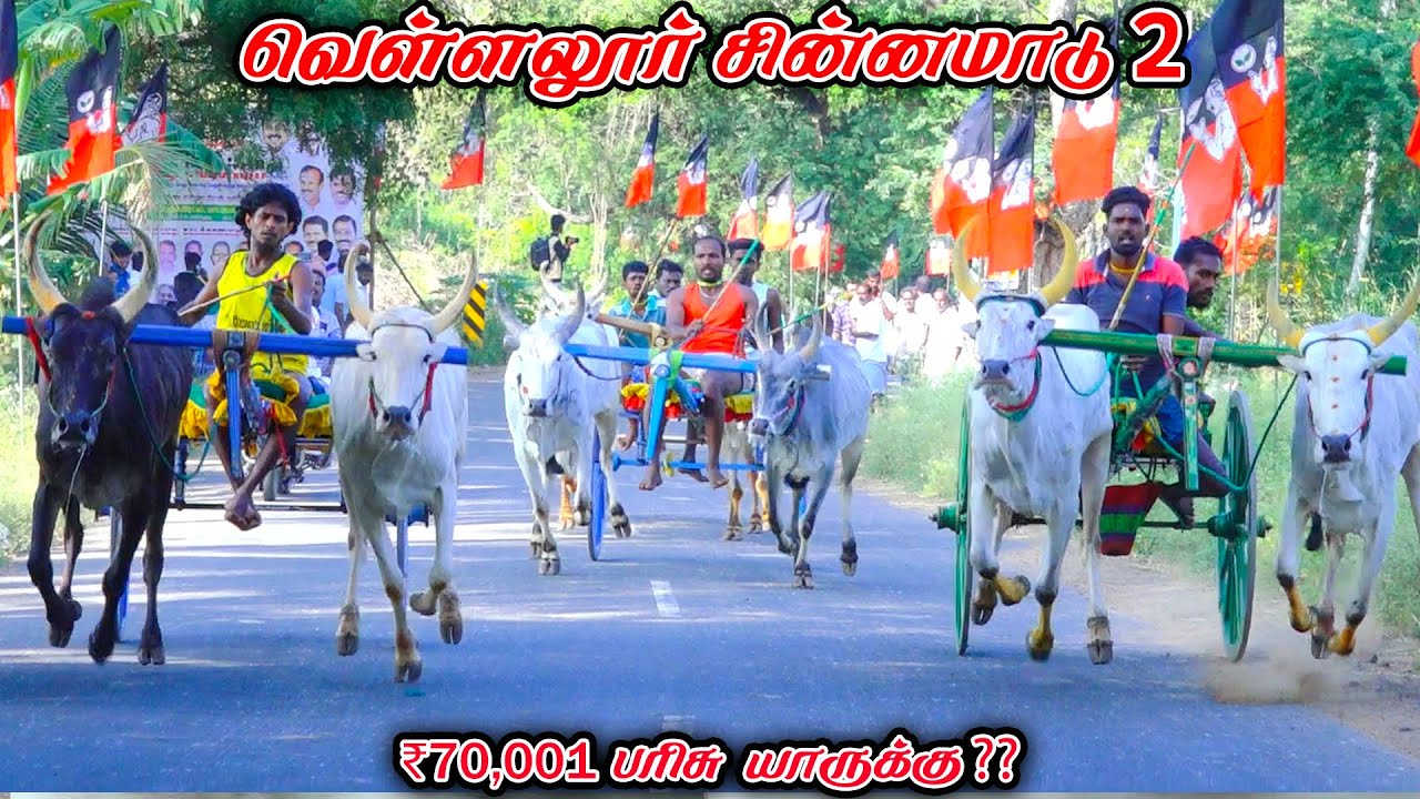 2வெள்ளலூர்-சின்னமாடு-பந்தயம்_07.02.2026_V_Photography