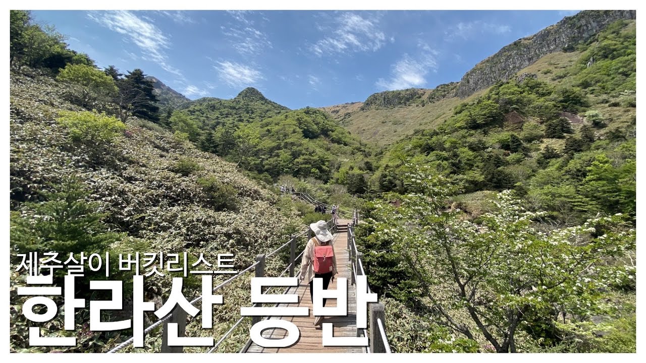 한라산 등반: 5월의 한라산 🌲 관음사코스 왕복 17.4km 마음 단디 먹고 가야해요 🤔