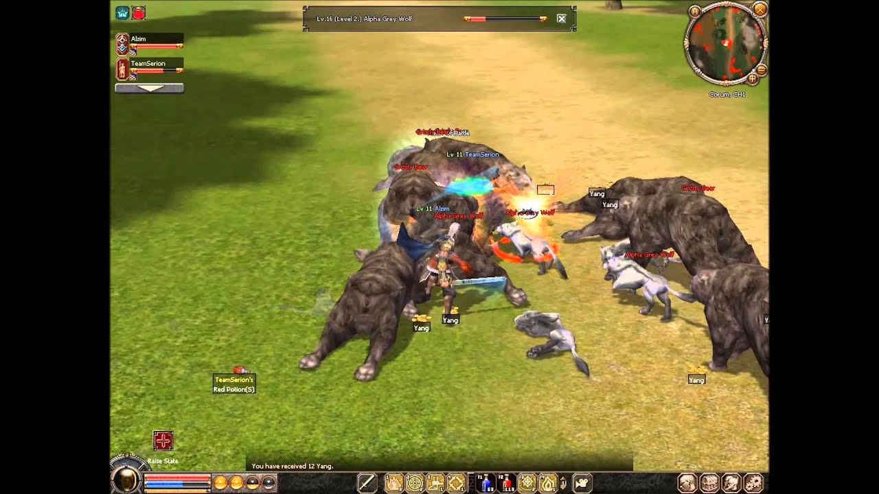 Metin2: Montage