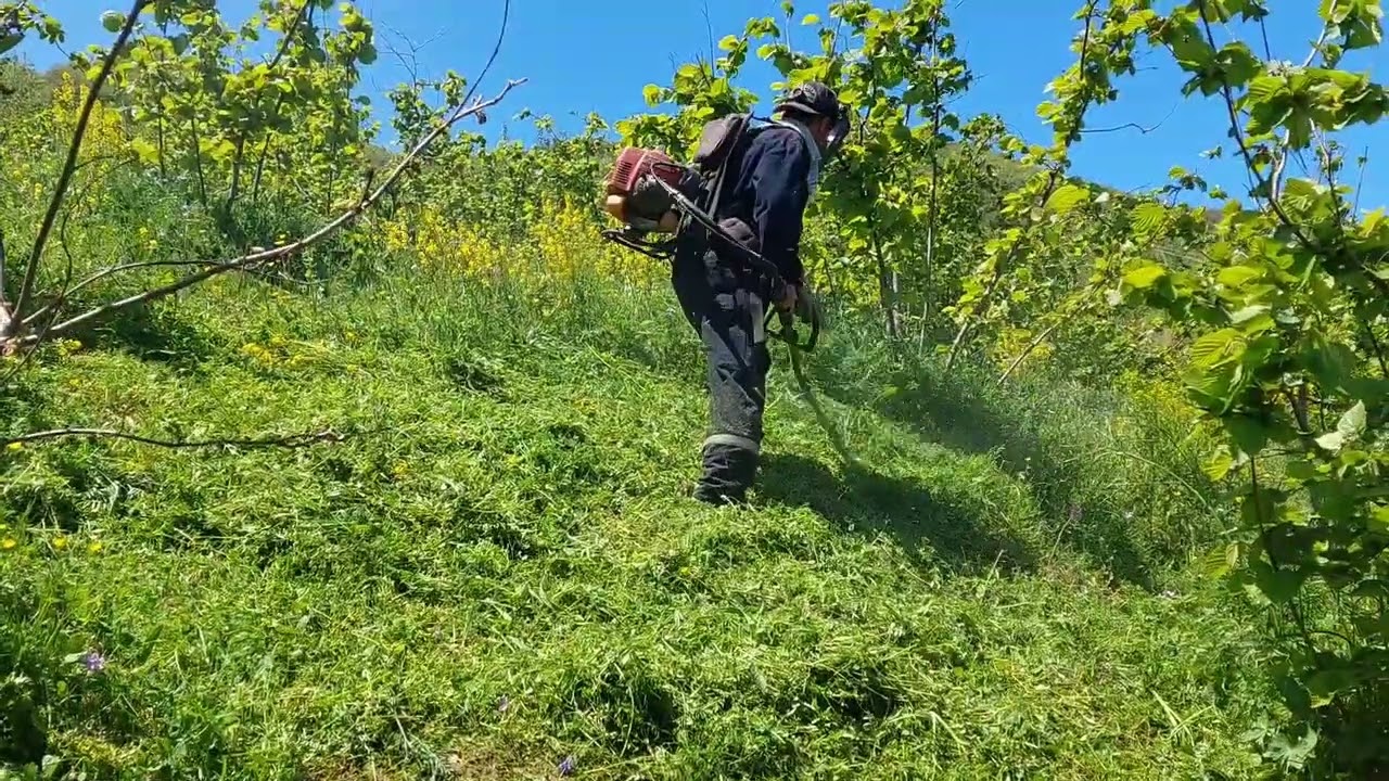 #kawasaki #otbiçme# mowinggrass