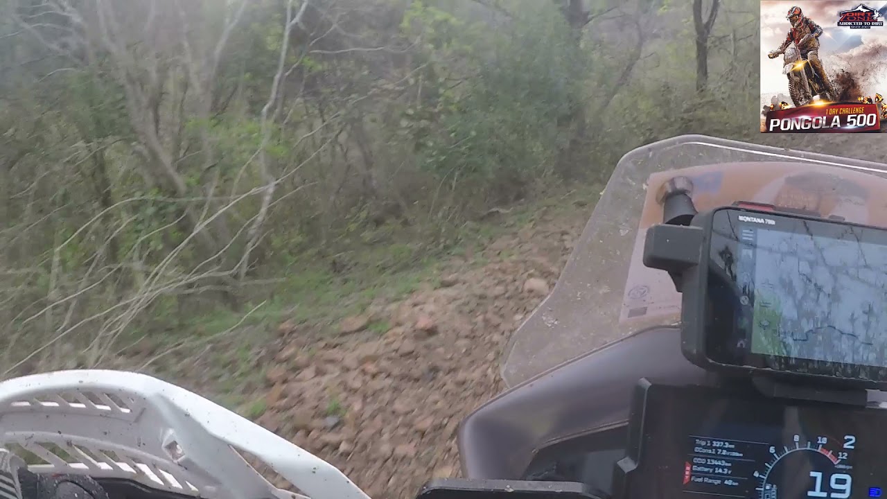 Pongola 500 - The sting in the tail
