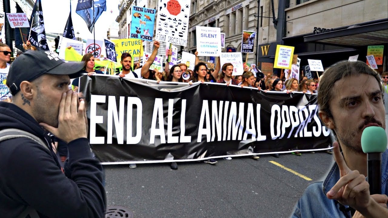 The Meat Industry Should Be Very Afraid... [10,000 VEGANS RALLY IN LONDON 2018]