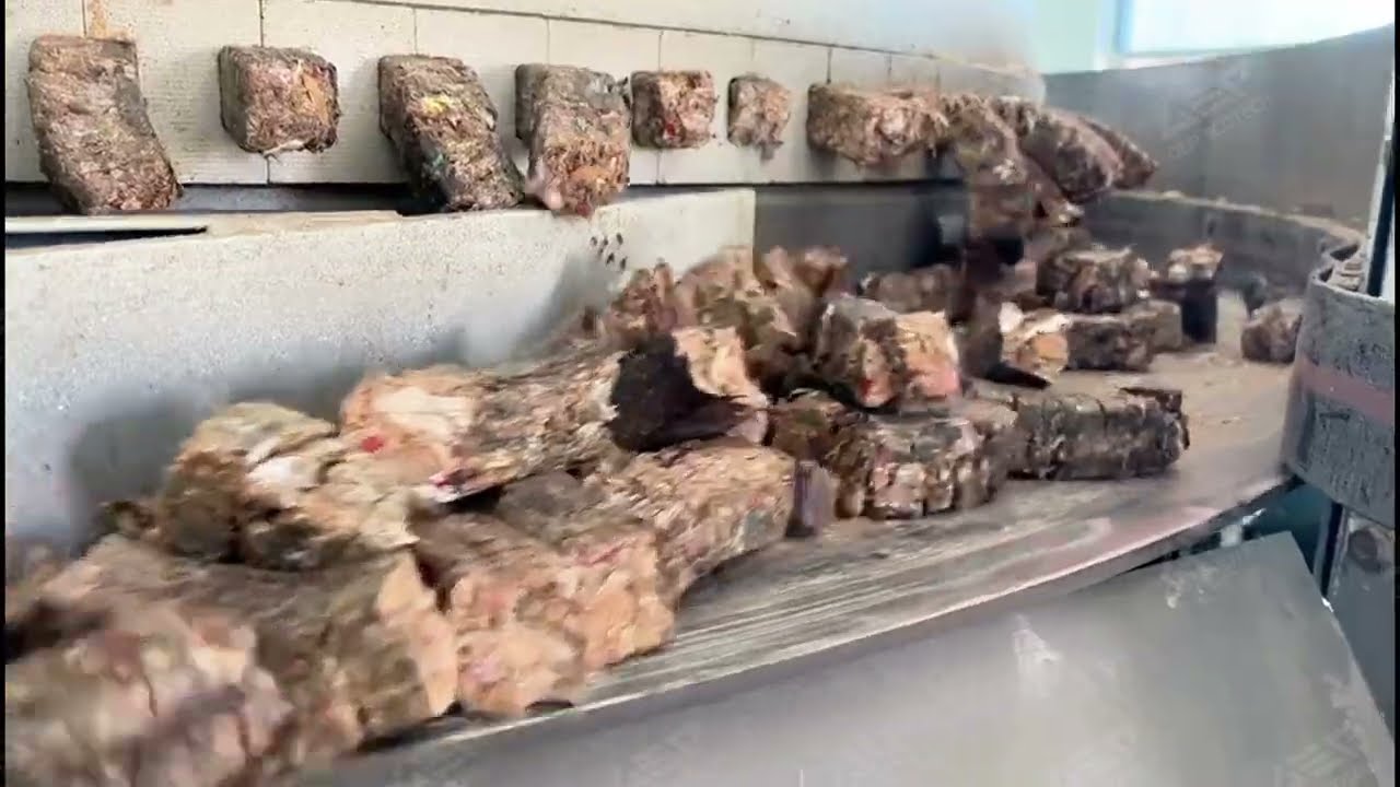 RDF Pelletizing System | Pressing Waste into Energy Pellets