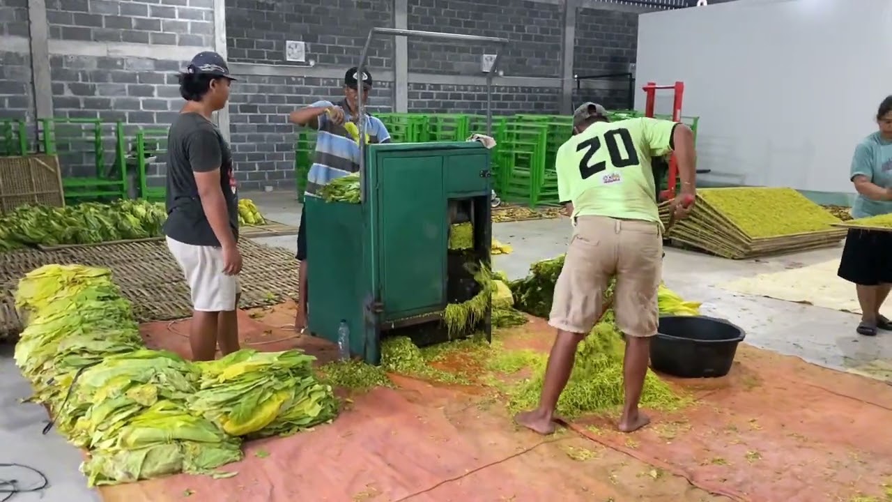 Profil desa Krompaan kecamatan Gemuh | 2025