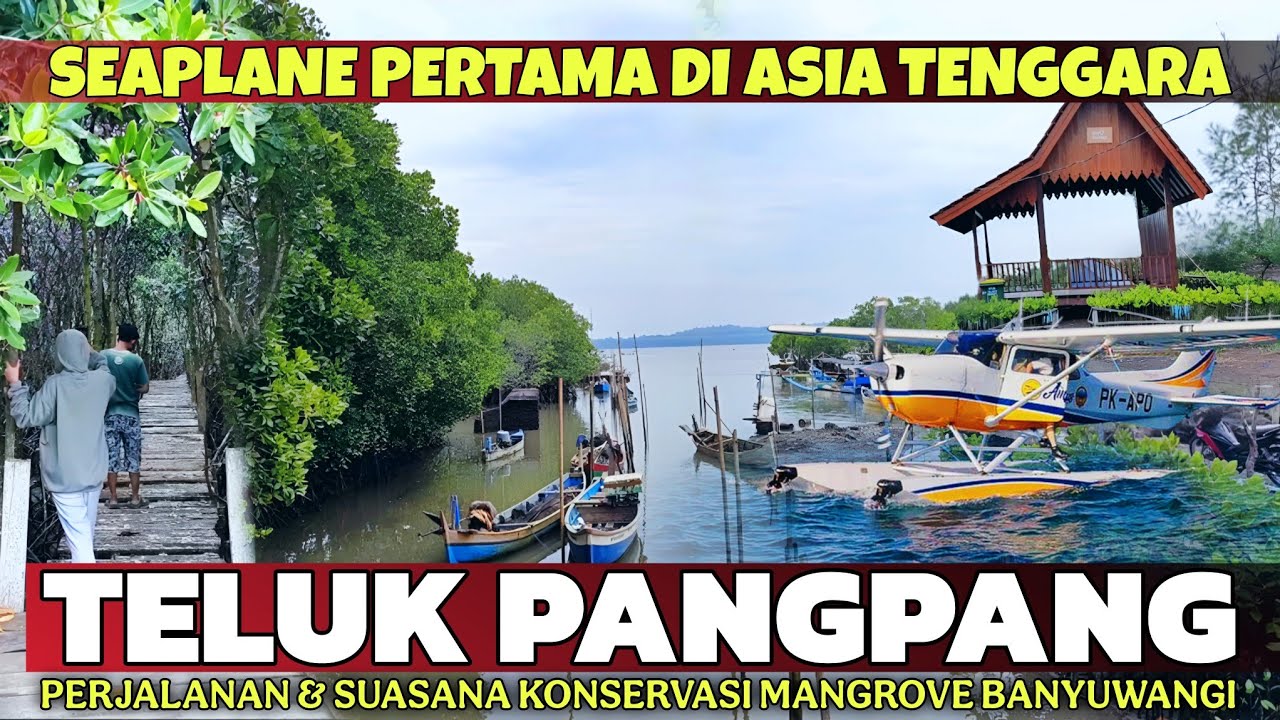 SEAPLANE PERTAMA DI ASIA TENGGARA! Perjalanan & Suasana di Teluk Pangpang Banyuwangi Terbaru 2026