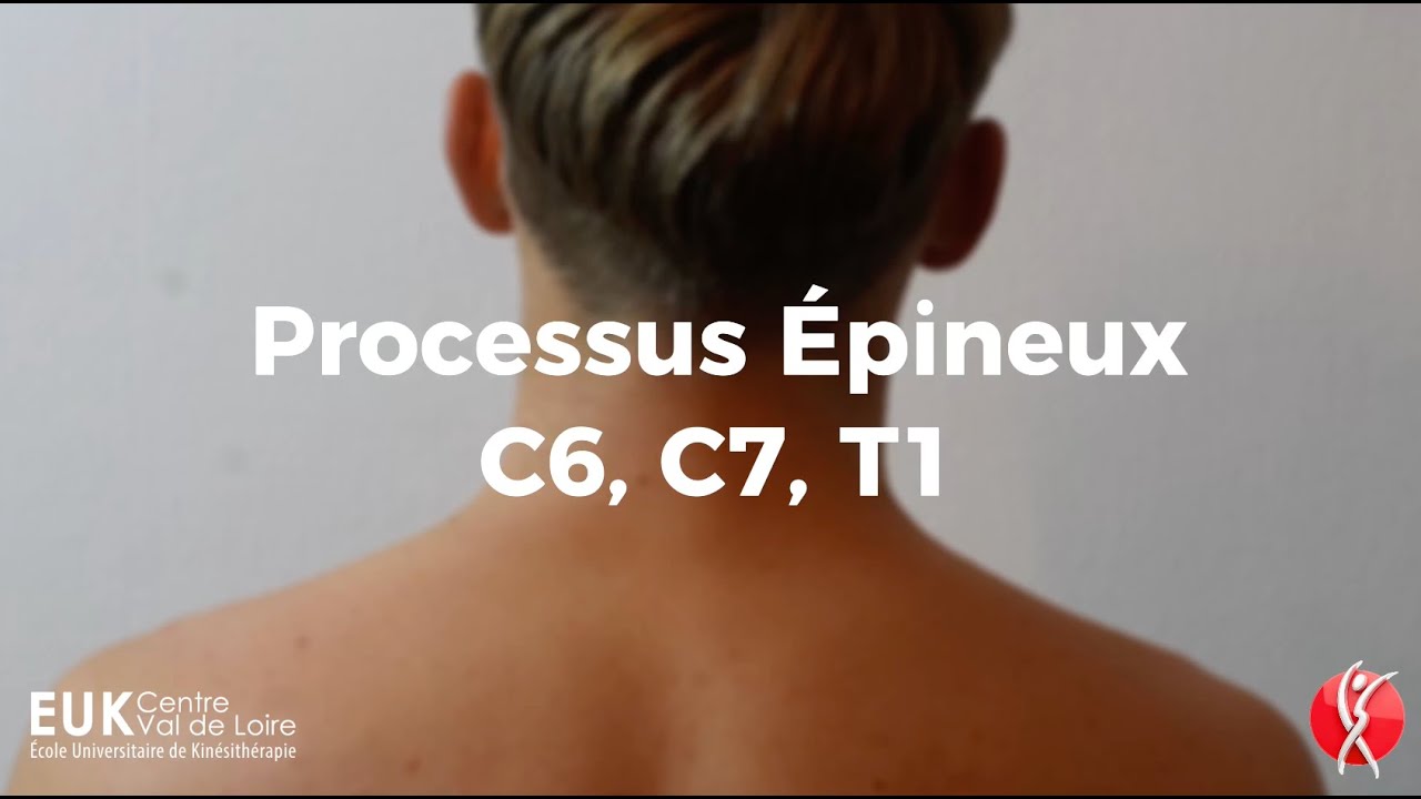 PALPATION : Processus Épineux C6-C7-T1
