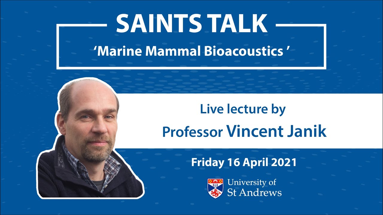 Saints Talk: Marine Mammal Bioacoustics by Professor Vincent Janik
