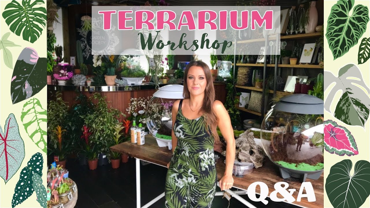 Terrarium/Houseplant Workshop - biOrb AIR Scaping! 🌿