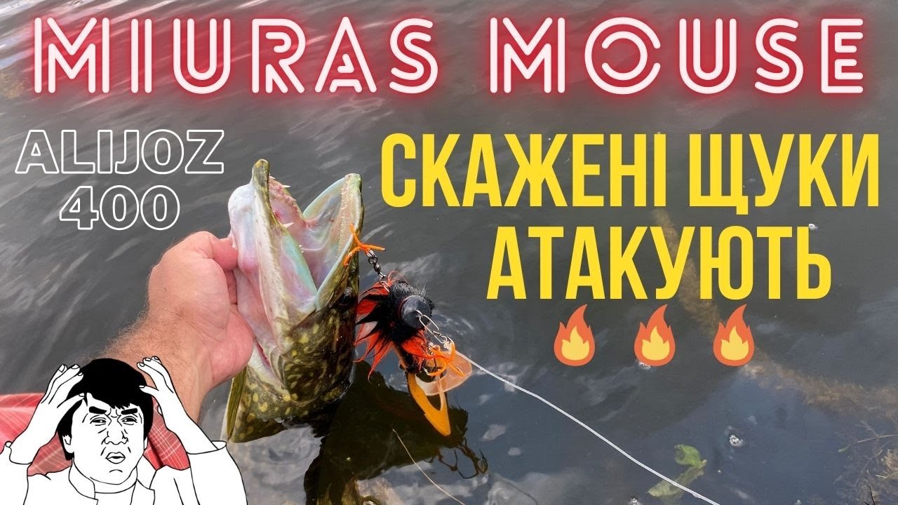 Miuras Mouse проти Big Bandit🔥  РОЗДАЧА по клюванням ЩУКИ💥