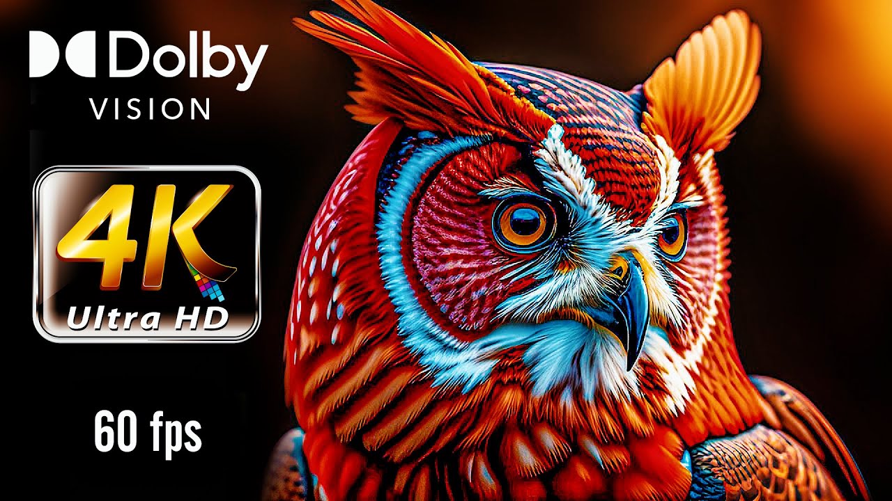 4K ULTRA HD 60FPS Wild Animals of the World