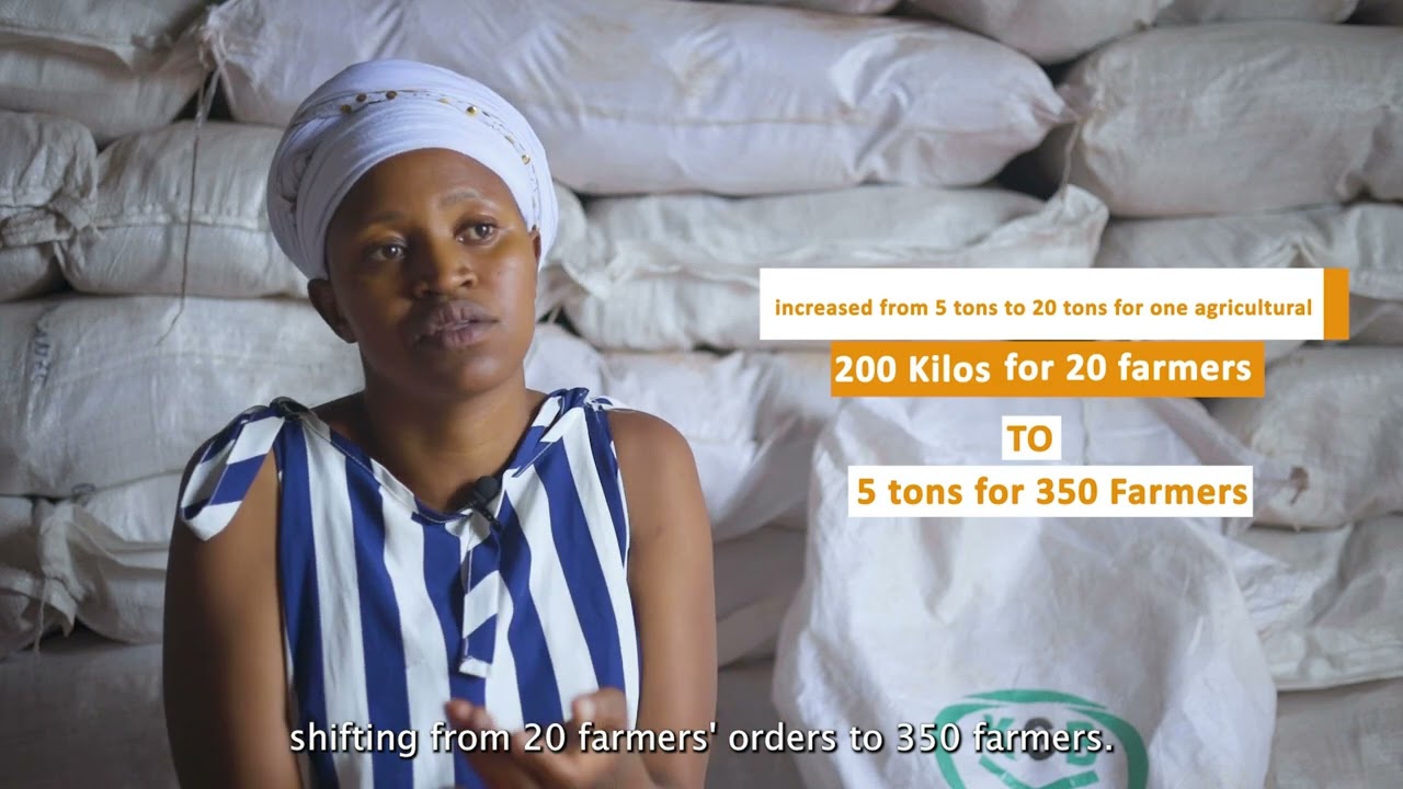 Strengthening Rwanda's hybrid maize seed systems through agrodealers