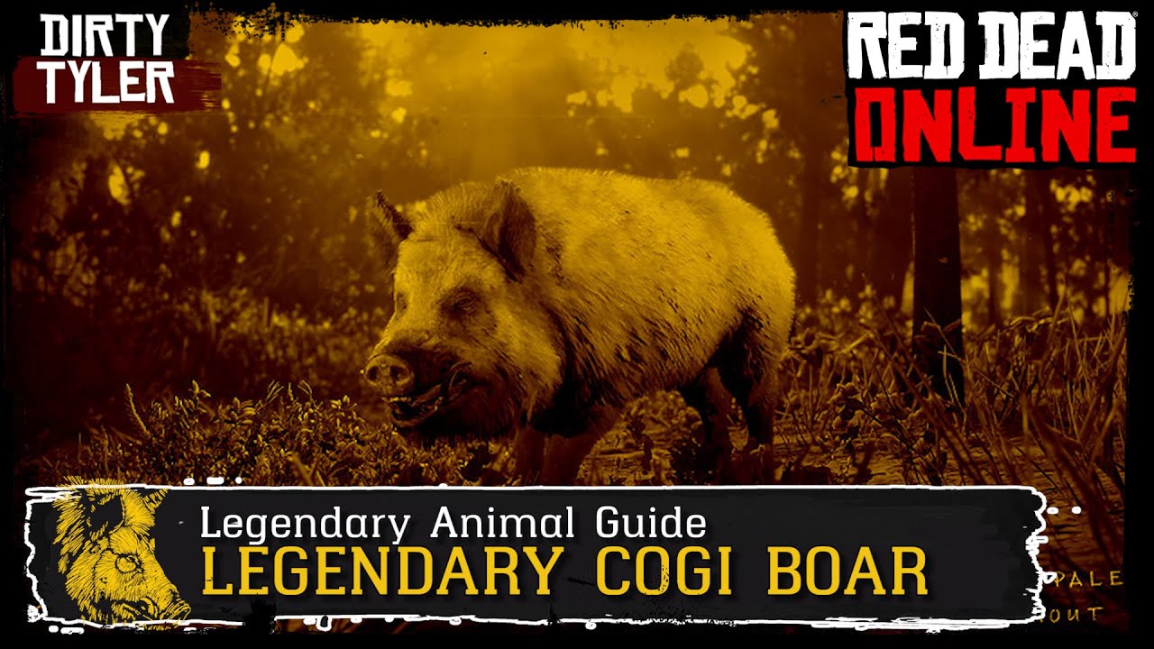 Red Dead Online Legendary COGI BOAR Legendary Animal Guide Naturalist Role RDR2 Naturalist Role