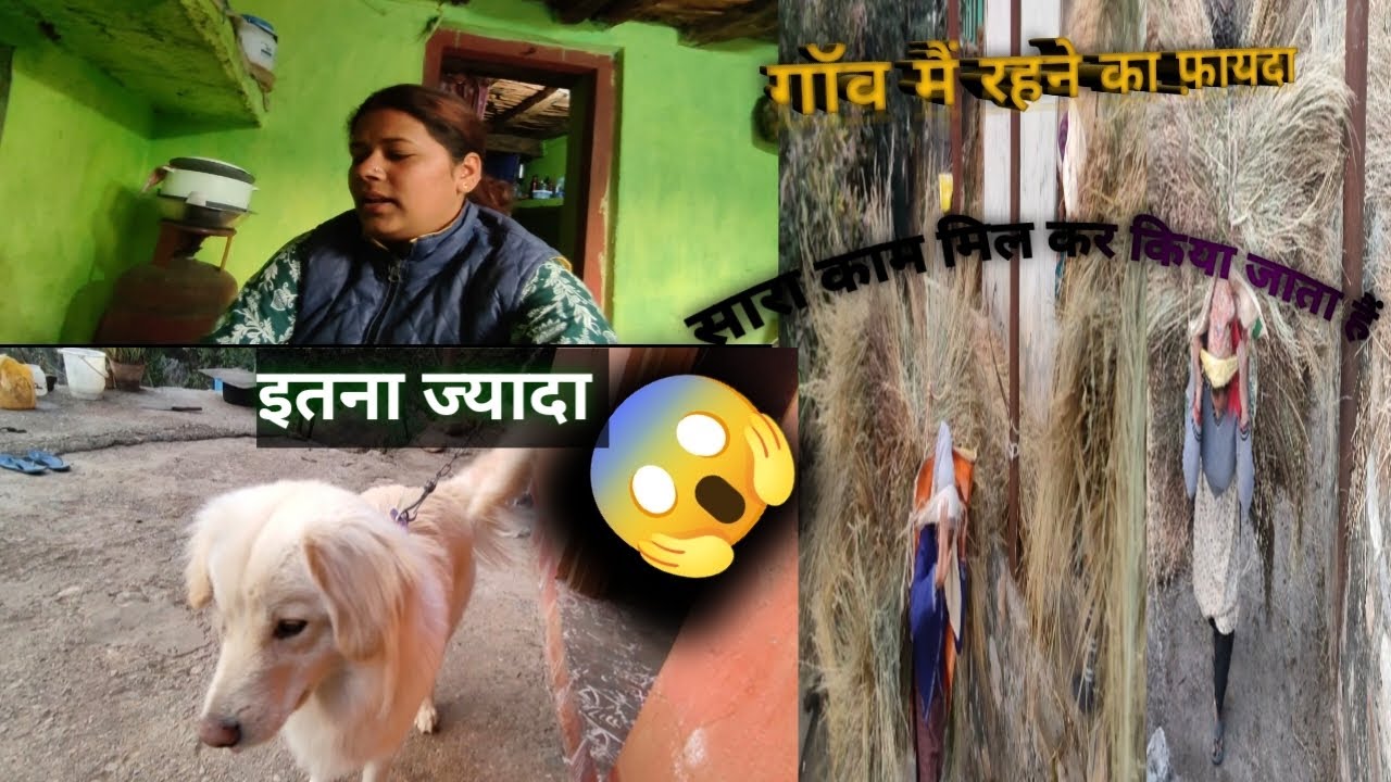 आज कल मायके मै सब खाया पिया सब रॉकी को लगा हैं