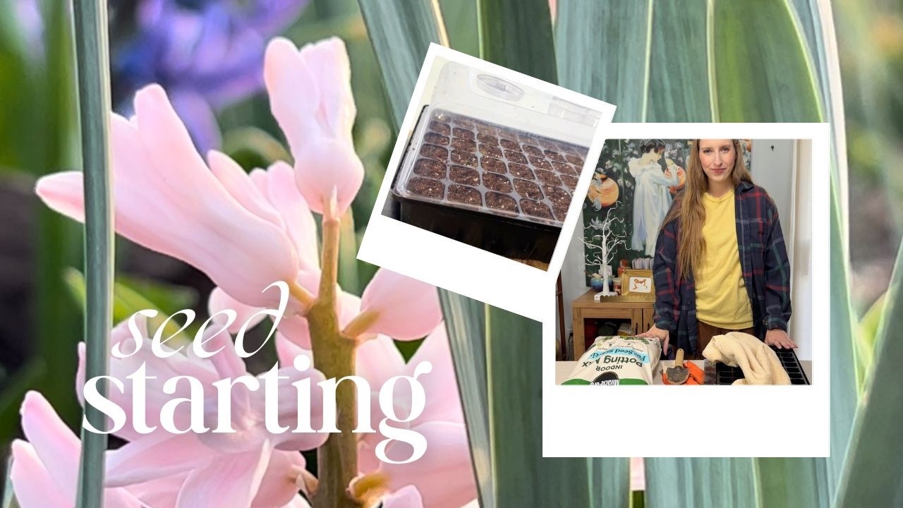Seed Starting for cut flowers 🌼 Nature Walk, Trying New Things, and Getting Excited for Spring!