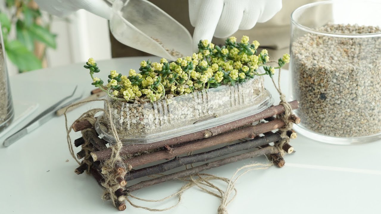 Подставка для веток Посадочное растение, подвесное растение, план-терьер, пластиковый ящик