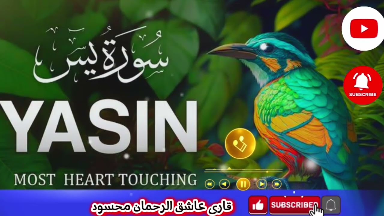 سورۂ یٰسین | دلوں کو سکون، گناہوں کی معافی اور مشکلات کا حل | Surah Yaseen Beautiful Recitation