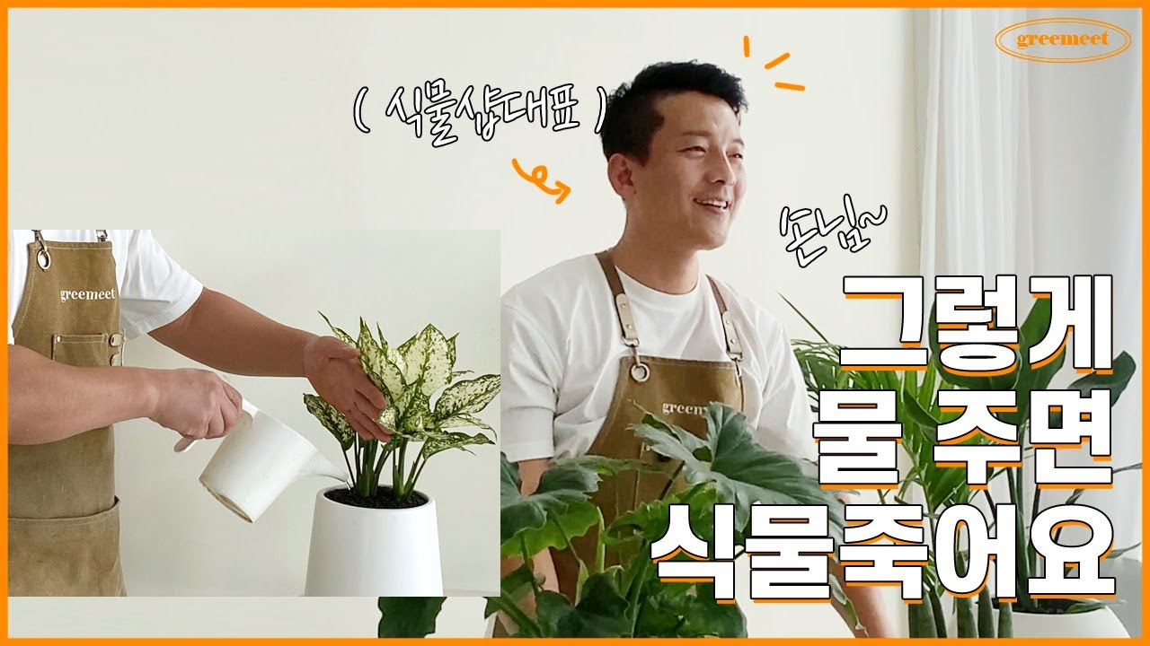 절대 죽지않는 식물 물주는 방법 ㅣ꽃집사장님이 알려드려요ㅣ초보들의 실수✔️ BEST