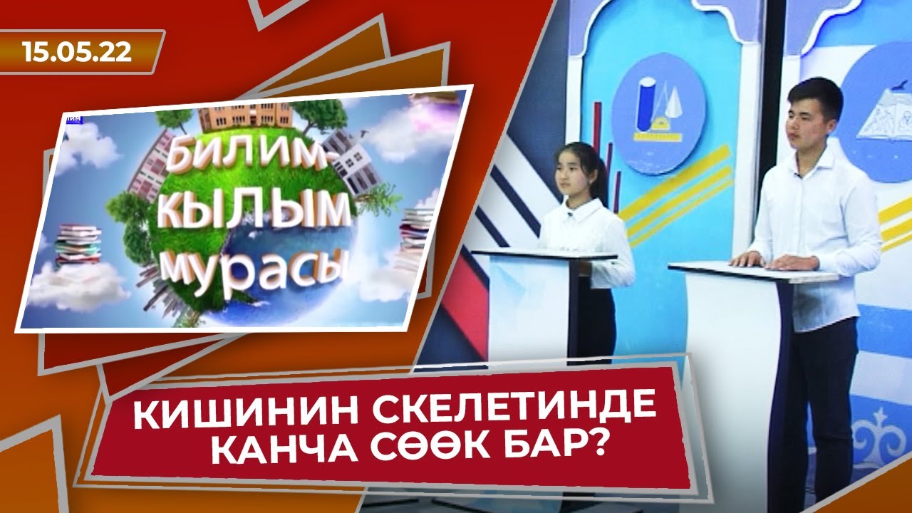 КИШИНИН СКЕЛЕТИНДЕ КАНЧА СӨӨК БАР? // Билим-кылым мурасы