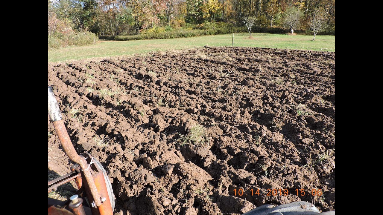Putting the Garden to Bed