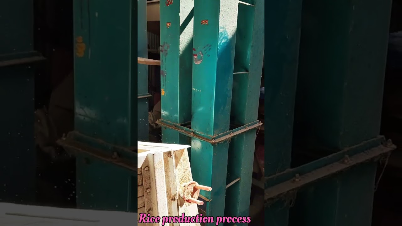 Whole process of Rice mill production cycle...