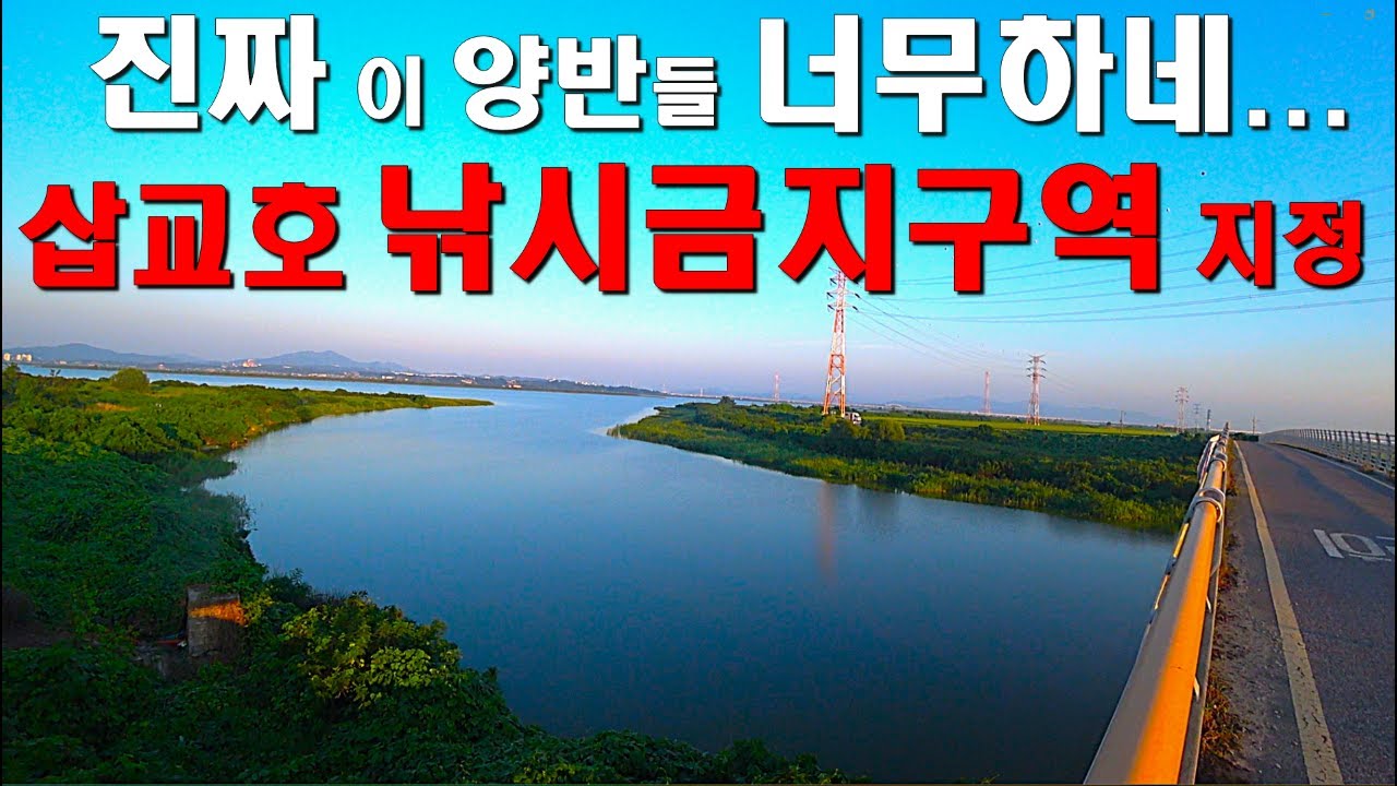진짜 이 양반들 너무하네...  삽교호 낚시금지구역 지정