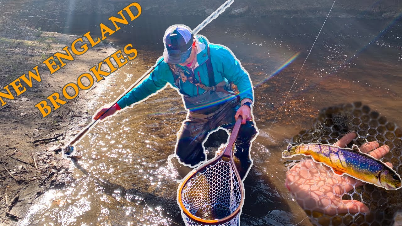 BEAUTIFUL BROOKIES- Fly Fishing for Brook Trout in New Hampshire, Exeter River