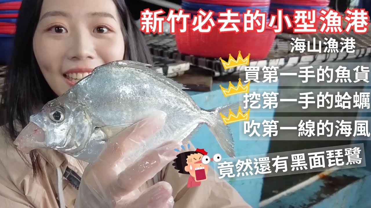 新竹連在地人都不知道的隱密小型漁港，竟然可以買到最鮮的魚貨！還有黑面琵鷺耶！｜乖乖跳海港第二集｜新竹海山漁港