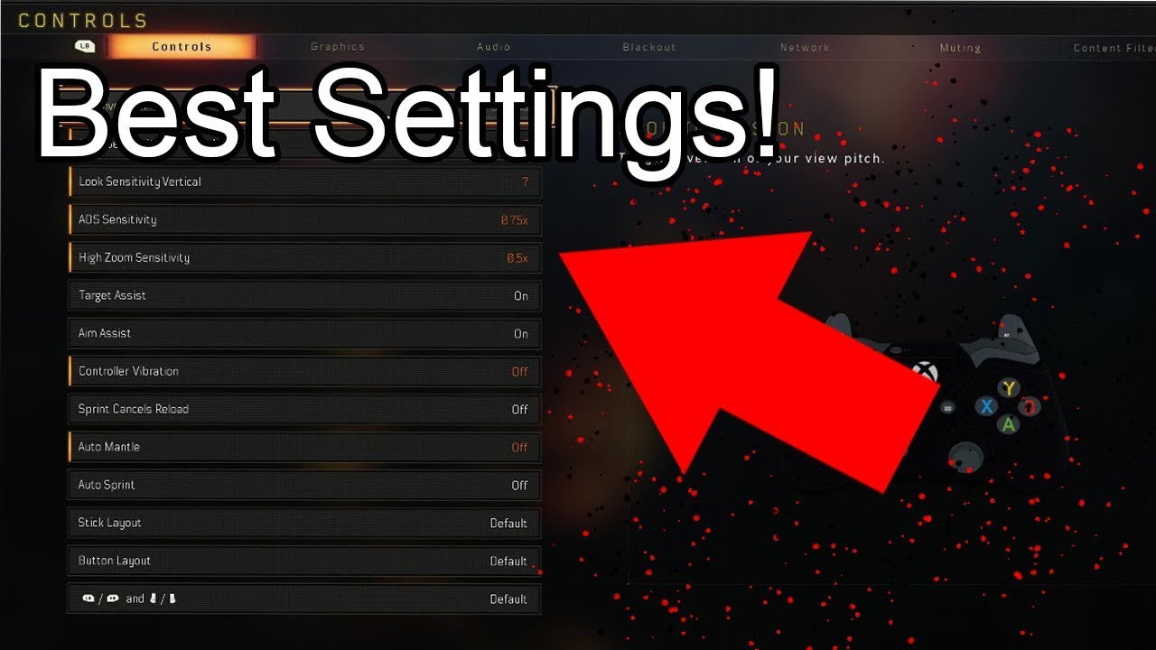 BEST BLACKOPS 4 SETTINGS!