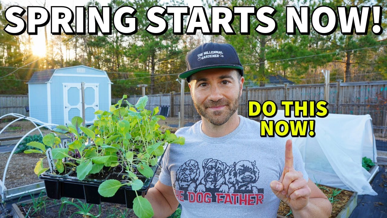 Why FEBRUARY Is The MOST IMPORTANT Month In Gardening: Start NOW!