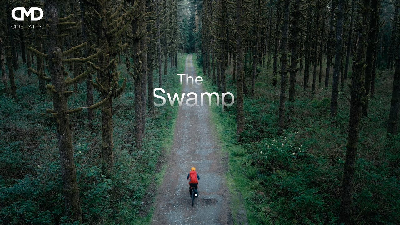 The Swamp | biking to my personal frog concerto at dusk | BC Canada