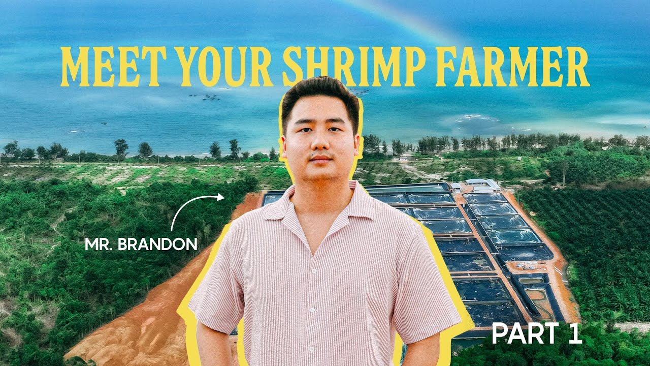 Meet Your Shrimp Farmer: Mr. Brandon Limbono | Part 1