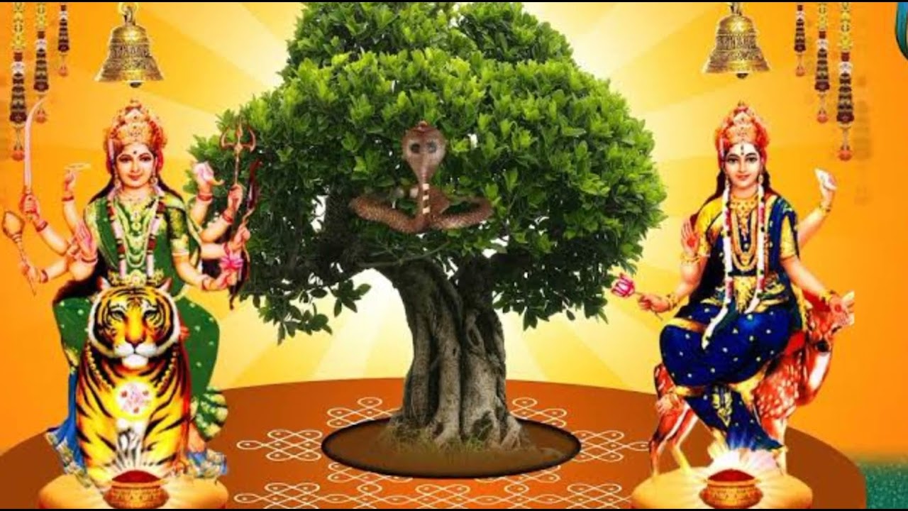 Sammakka sarakka 2022 photos #medaramjathara #medaram medaram photos